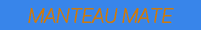 Enduit en poudre 2 en 1 bg boite 1 kg-